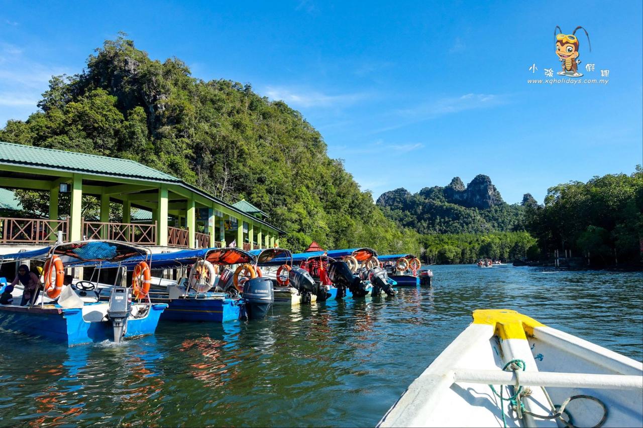 Mangrove langkawi kayaking adventure malaysia tours forest dev etabroad